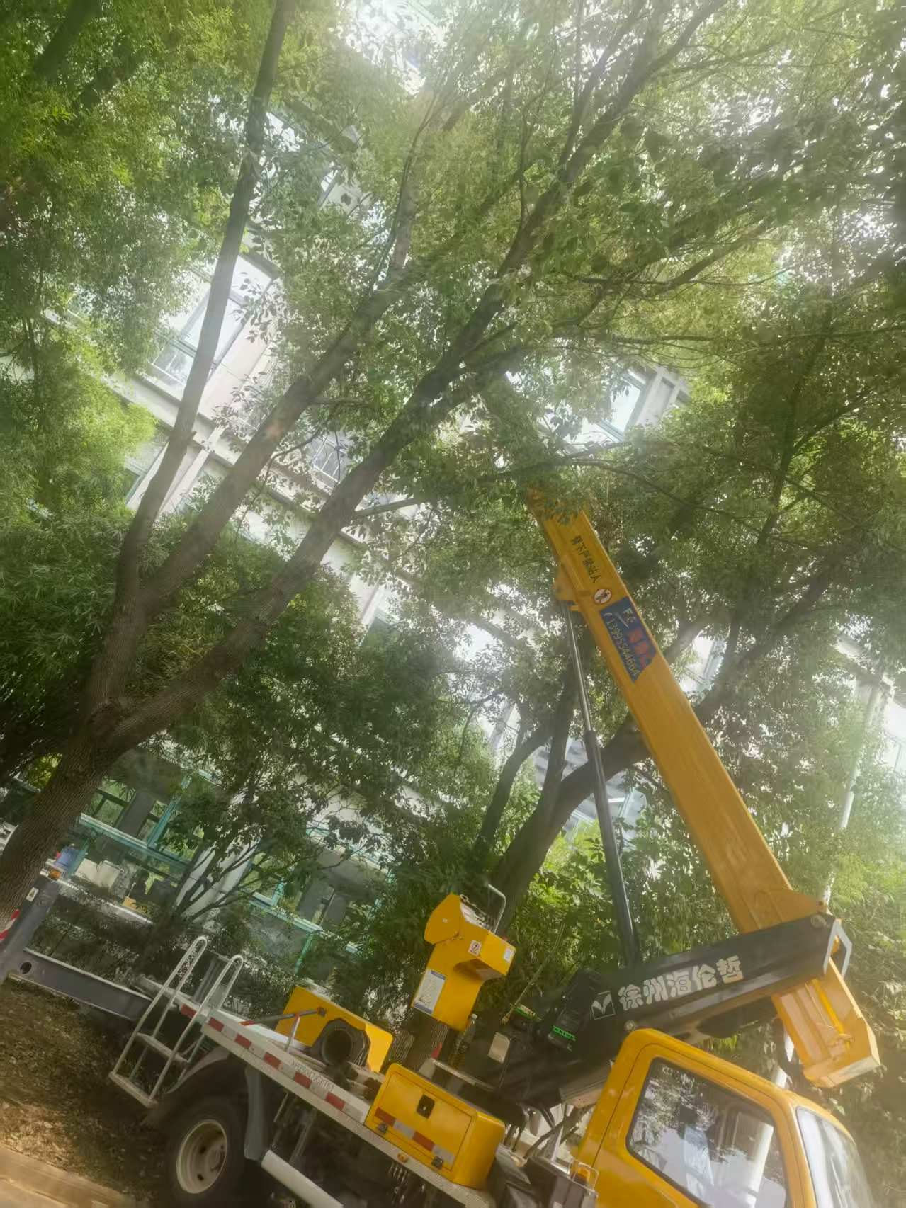 18米直臂升降車載人修剪樹枝、園林施工現(xiàn)場